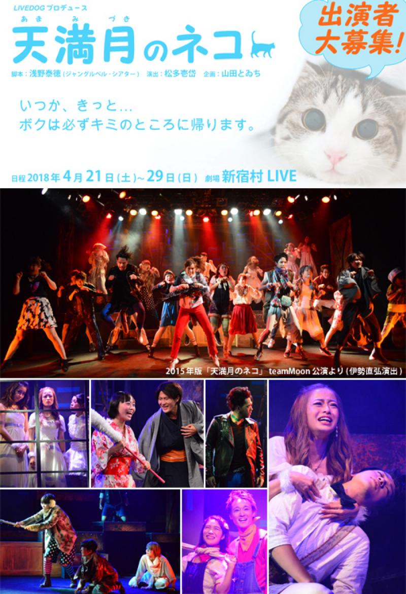 【2/19締切】主演・ヒロイン含め募集！松多壱岱演出、4月新宿村LIVE公演『天満月のネコ』
