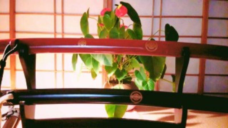 侍コメディー短編映画オーディション