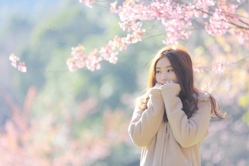 桜×京都　映像撮影　女性モデル募集　4/3~4/5