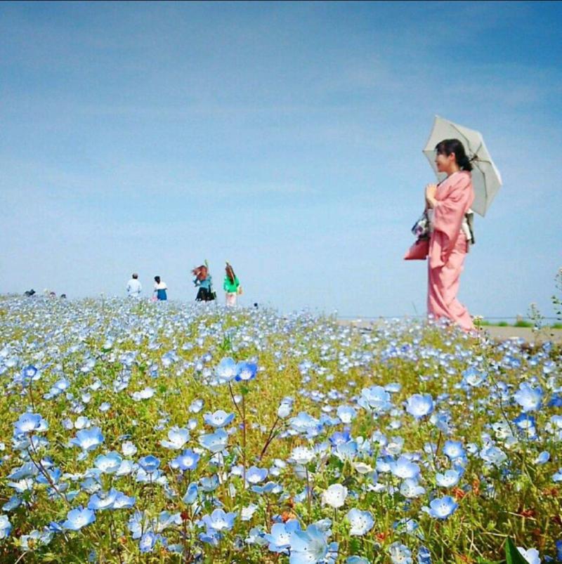 ★☆ 女性限定 ☆ 着付け＆所作クラス ☆ 新規メンバー募集 ☆ Chubbuck Japan (チャバック ジャパン) ☆ 都内で隔週木曜日の開催 ☆★