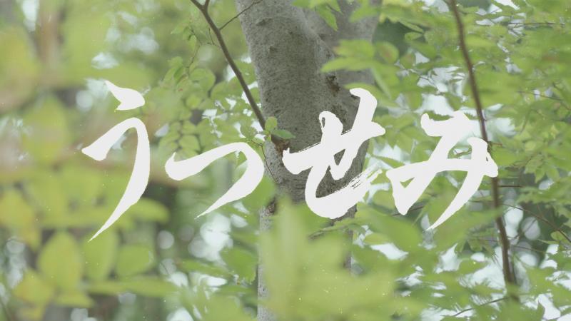 「自主制作上映中」様にて2019年制作自主映画「うつせみ」を上映していただいています／上映していただける方募集中