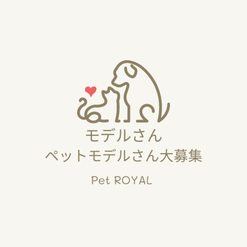 《ペット製品の新ブランド》HP/ECサイトモデル大募集 #人物 #ペットモデル