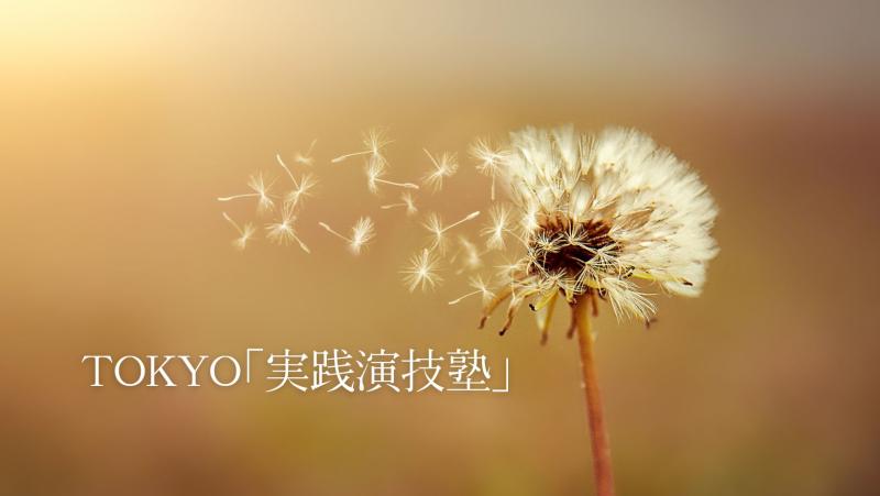 2024年2月。 実践的な演技を学べる【実践演技塾】メンバ―募集！