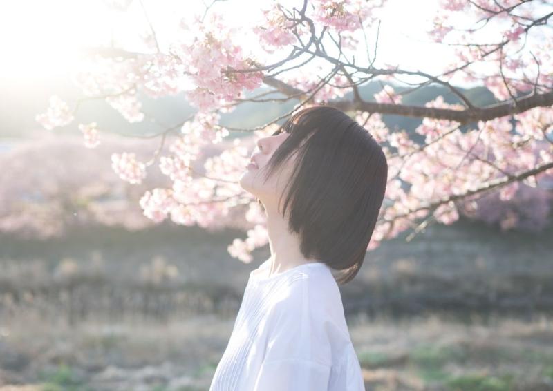 自主PV撮影　東京桜撮影　SONY BURANO使用