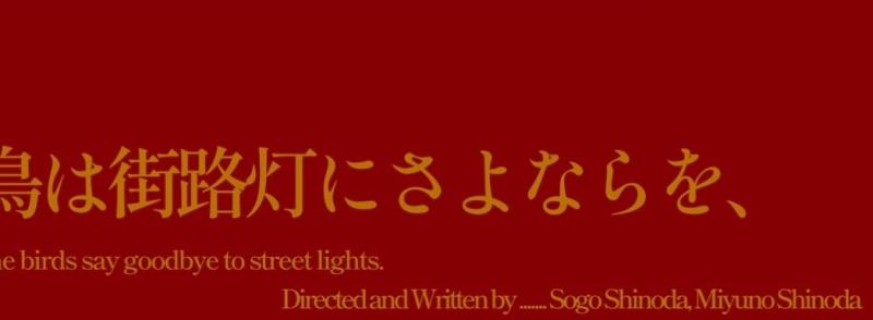 【20代 女性キャスト募集】【長編映画】映画祭出品予定の恋愛映画『鳥は街路灯にさよならを』24年10月 ~ 撮影予定