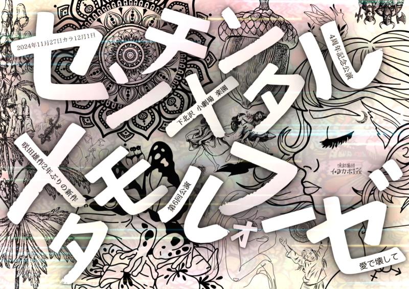 【新作】11/27-12/1　演劇集団イルカボーイズ第6回公演　キャストオーディション