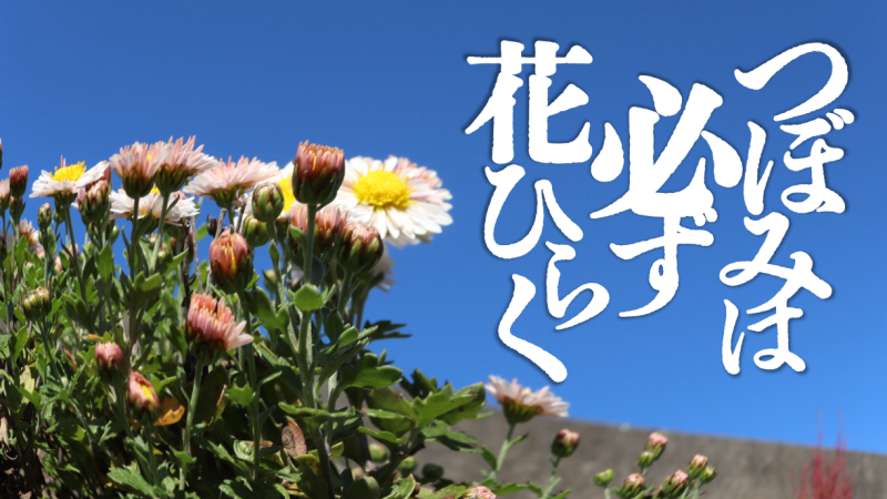 【自主制作映画】「つぼみは必ず花ひらく」母親役募集！！(1/26締切）