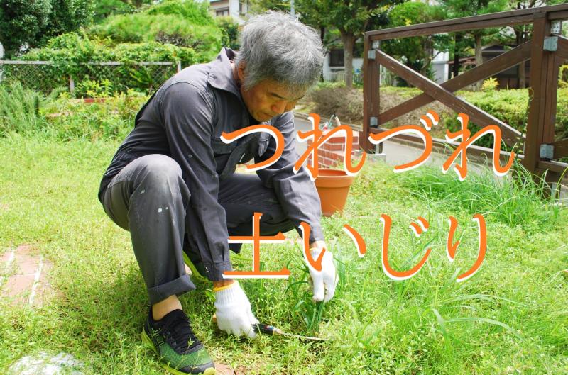 「老後の趣味として始めた庭園の世話を楽しむ熟年男性役」を募集します！【SNS広告動画の出演者募集】