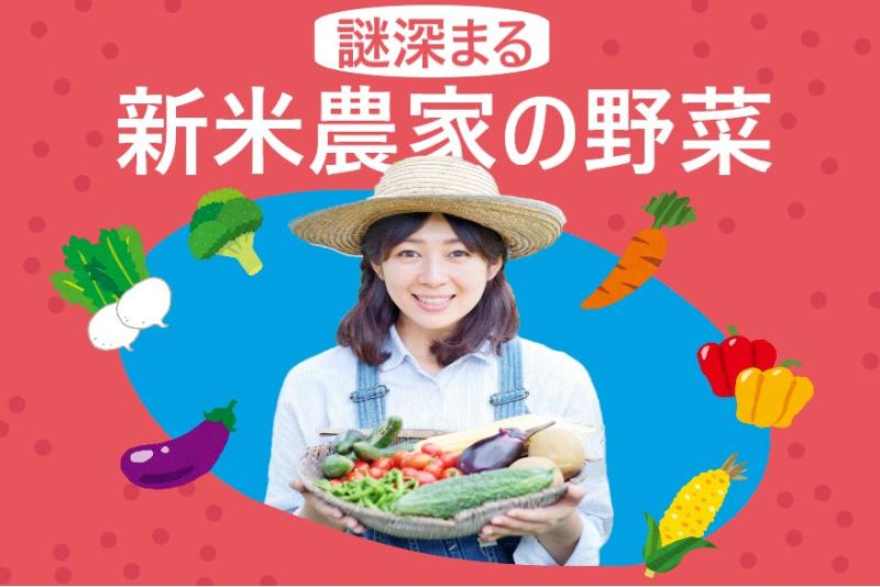 【ミステリー】新米の自分が作った出来の悪い野菜ばかりを買いつける謎のバイヤーに不安を感じる新米農家の女性役を募集します！ / SNS動画広告の出演者募集