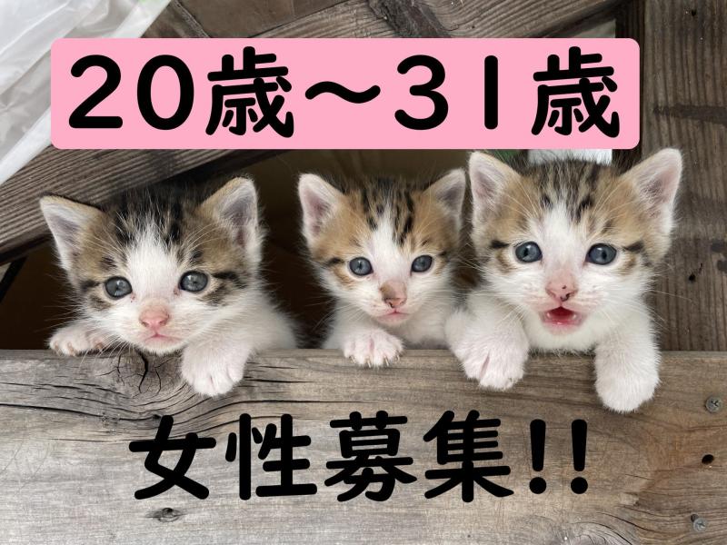20〜31歳女性の演技経験者募集｜舞台以外に広告の経験も増やして行きたい方へ！SNS広告出演のご案内
