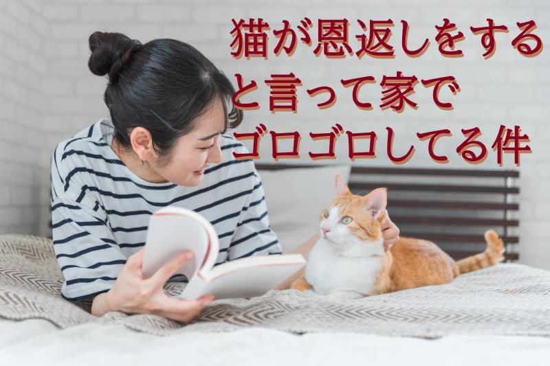 【女性・20歳～31歳】『いつまでいんの？』たまたま持っていたパンをあげた野良猫が妖怪で、恩返しと称して家に居着いてしまった女性役を募集します！ / SNS動画広告の出演者募集