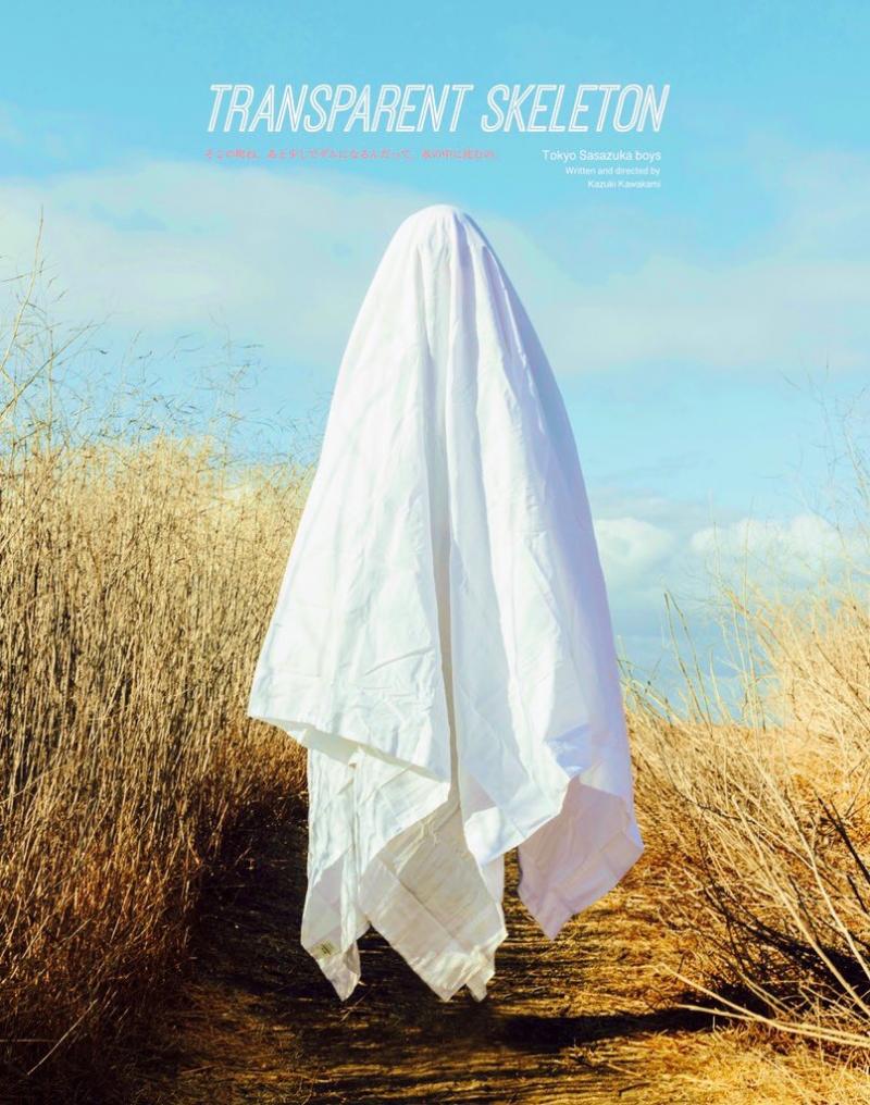 『Transparent skeleton』主演を含む全メインキャスト（男女）募集！！ サブ画像