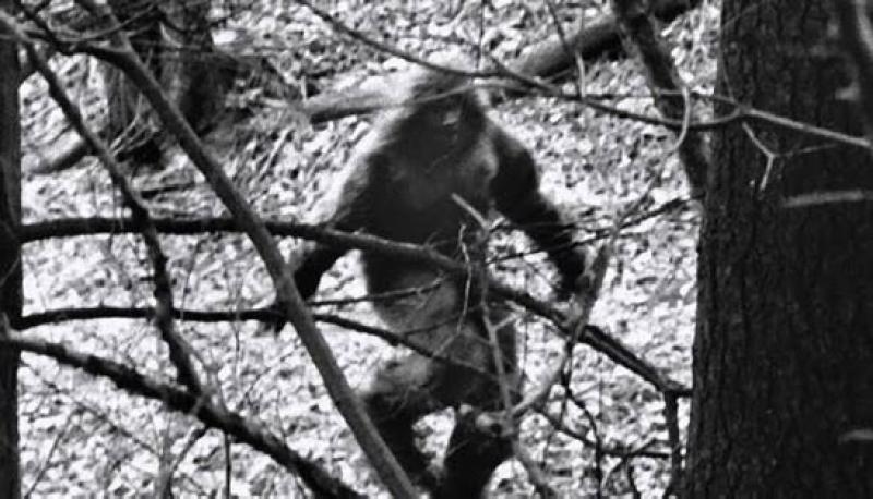短編映画【風の行き先】女性キャスト募集！↓詳細は下記をご覧ください↓ サブ画像