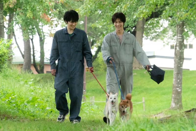 篠原哲雄監督（最新作『犬部！』7/22公開！）による8名限定の演技ワークショップ　9月8日(水)9日(木)開催 サブ画像
