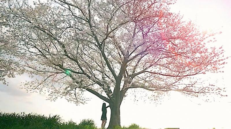 【介護犠牲0の実現】社会課題の解決に挑む心動かすショートムービー　両親役2名,夫婦役2名,相談員役1名募集！ サブ画像