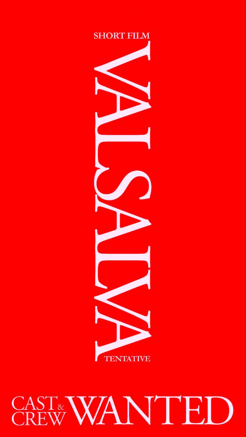 【 キャスト募集 】VALSALVA：ヴァルサルヴァ(仮) サブ画像