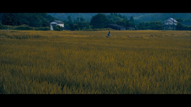 東京ビジュアルアーツ制作・短編映画「空にはいつも君に属する青がある」女性主演キャスト募集！　7月13日 サブ画像