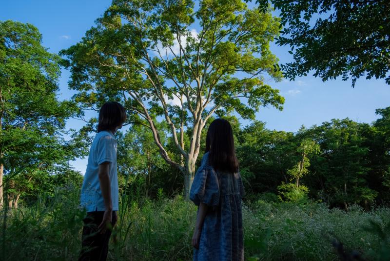 【主演募集】大阪芸術大学卒業制作『鋼鉄と陽だまりの森』メインキャストオーディション 7/30〆 サブ画像