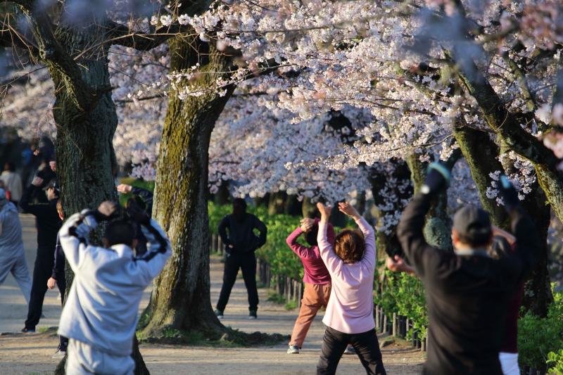 エキストラ募集 サブ画像