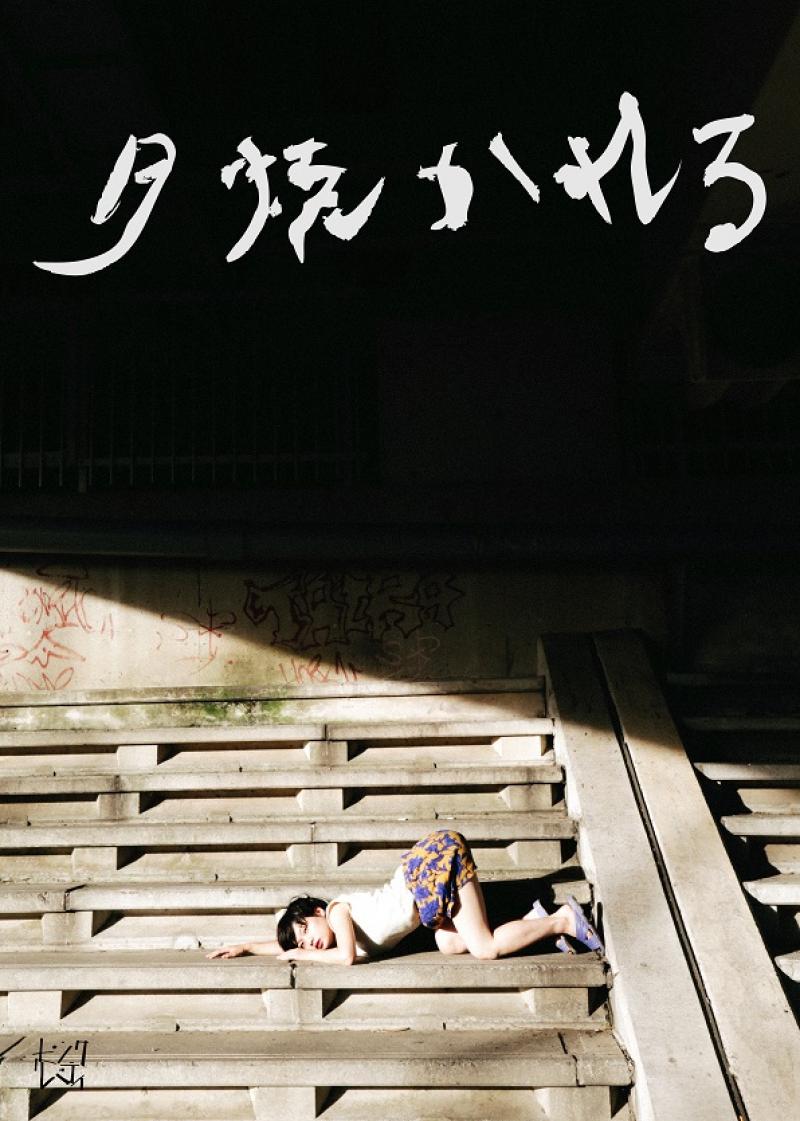 《本日23:59 応募〆切》ピンク・リバティ 新作公演「下らざるをえない坂」出演者オーディション サブ画像