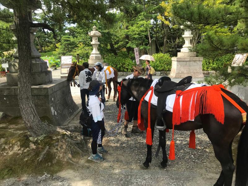 撮影馬を扱う！　ホースチームメンバー 募集　経験不問です。 サブ画像