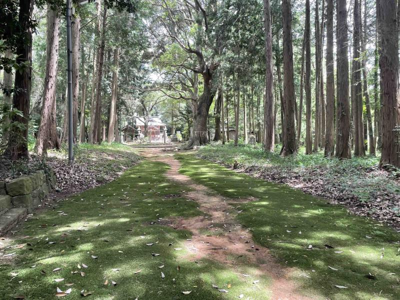 【9/8締め切り】【祖父役】名古屋市立大学卒業制作「TAKE ME HOME」祖父役募集！ サブ画像