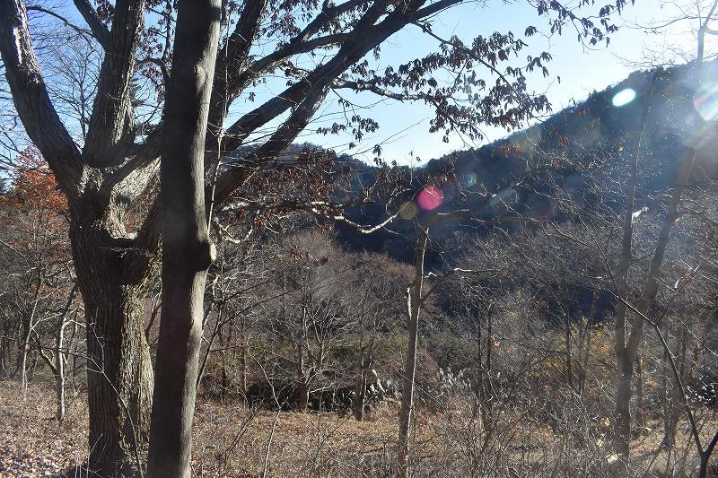 短編映画「初めてのお出かけ／危険な遊び」主役女性・悪役男性・裏方助手の募集　1月～２月　土曜か日曜の1日撮影 サブ画像