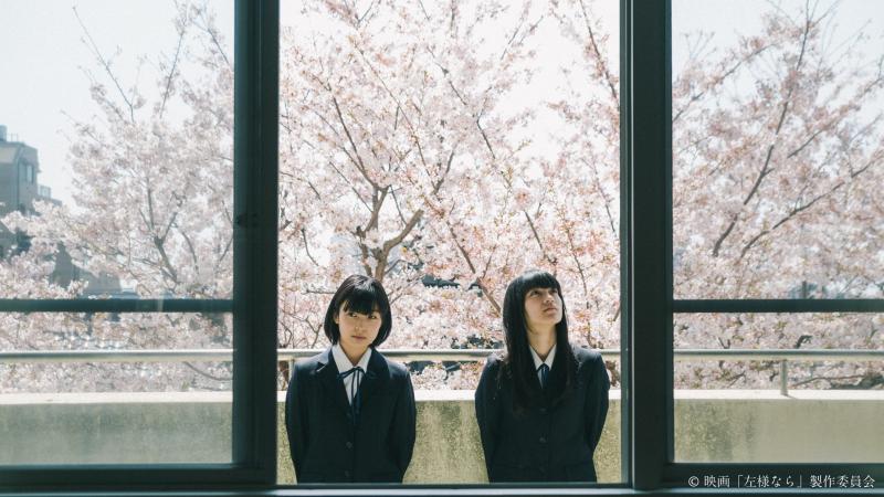 【MOOSIC LAB 2018長編部門作品】『左様なら』監督:石橋夕帆《スタッフ募集中！！！》 サブ画像