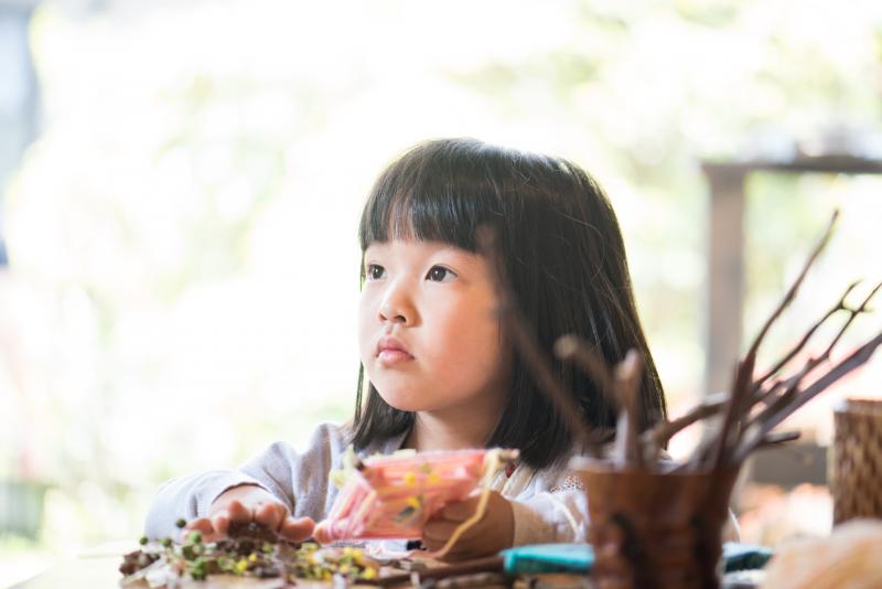 遊びと育児がテーマの映画「あそびのレンズ」3〜4歳の子役募集！10/12締切 サブ画像