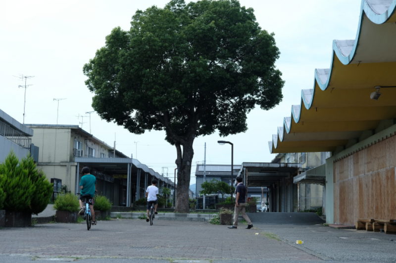 【11月2日】第3回愛川レッドカーペット　秋季ロケハン大会参加者募集‼ サブ画像
