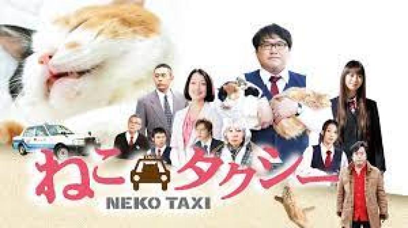 【10名限定】フジテレビ系列東海テレビ土ドラ「僕の大好きな妻！」、テレビ朝日・東映ドラマ「刑事7人 シーズンV」、宮本亞門演出舞台「画流人北斎」、映画「猫侍 南の島へ行く」、アニメ「おしりかじり虫」「おしりたんてい」など映像・舞台・アニメーション演出＆脚本で活躍する池谷雅生氏による第2回映像舞台演技ワークショップ開催！ サブ画像