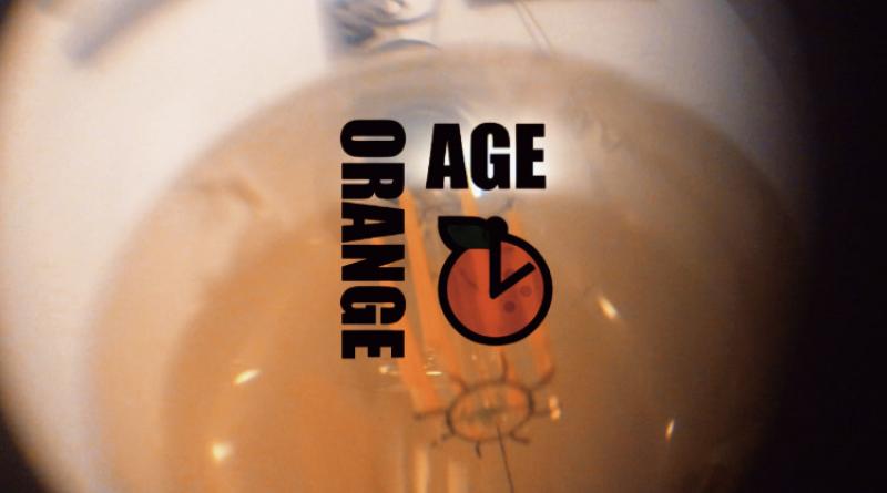 急募！PFF出品映画『ORANGE AGE』出演キャスト募集【20〜40代男性・女性／5～7歳子役（男）】追加募集 サブ画像