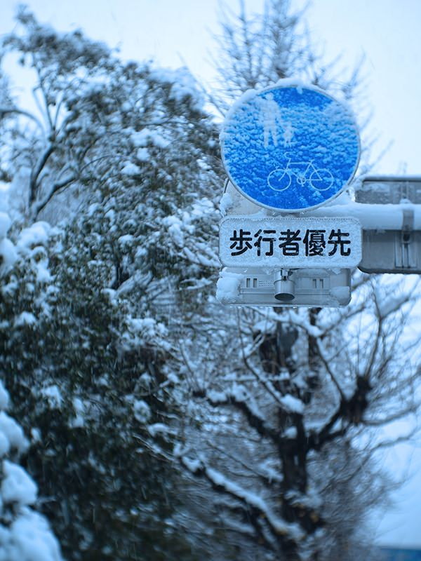 鈴木　美桜