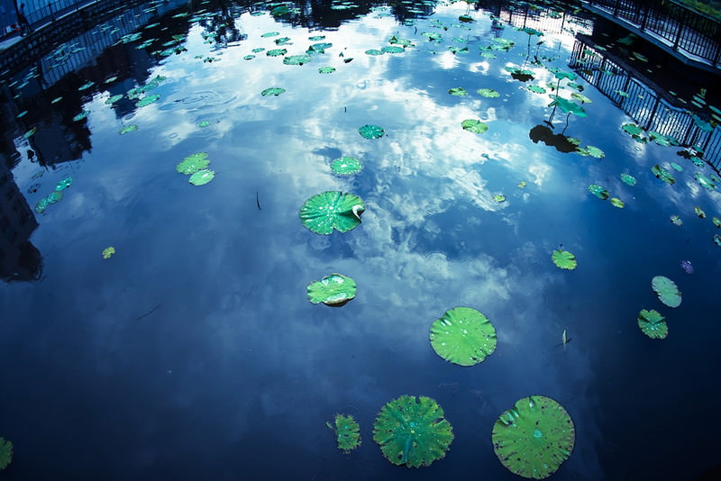 小泉　治