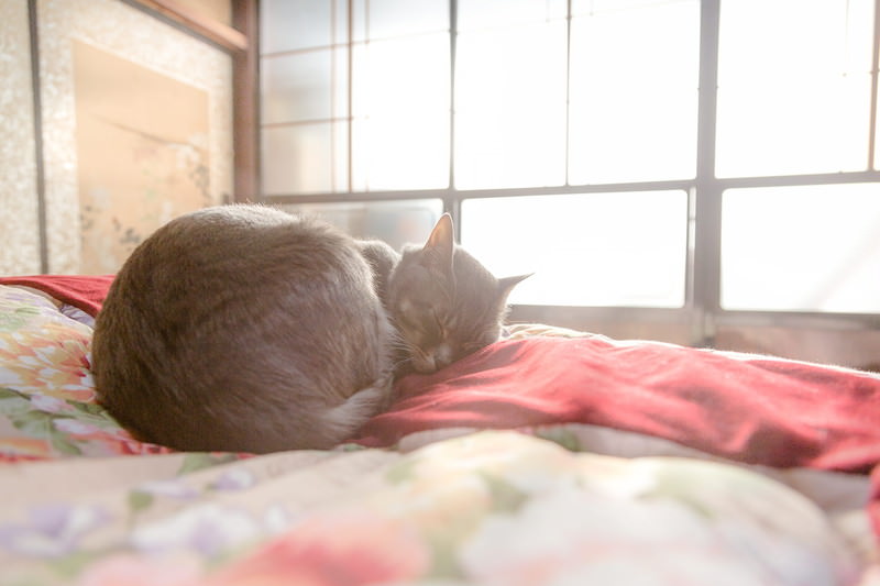 じし