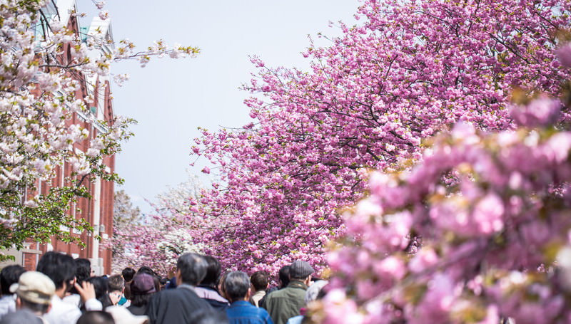 東広島映画祭