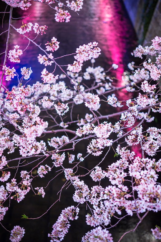 福神プロデュース
