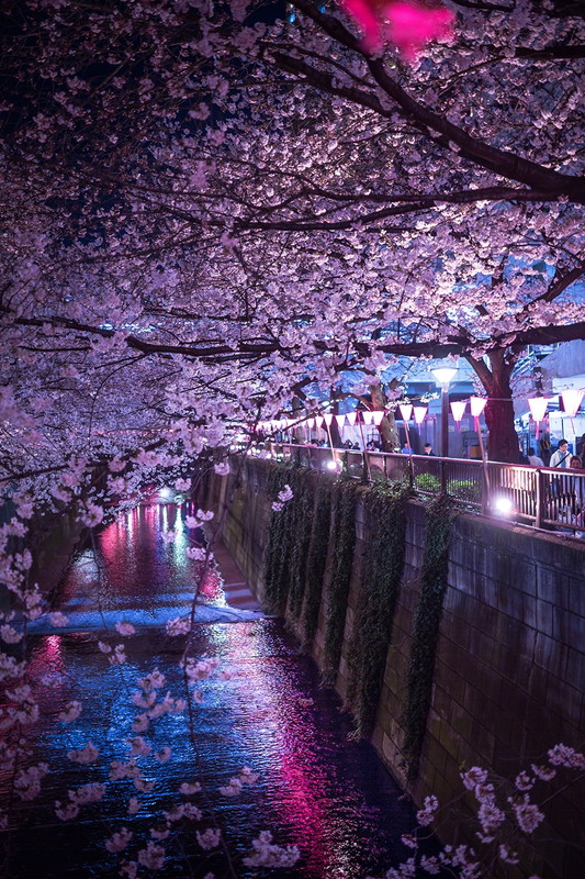 masu