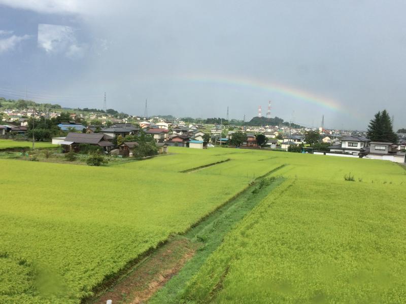 きな子