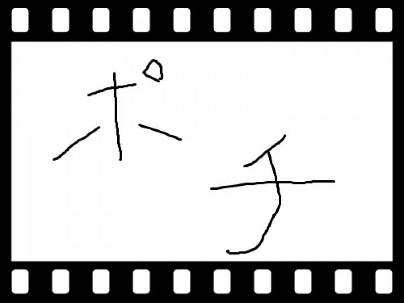pochi