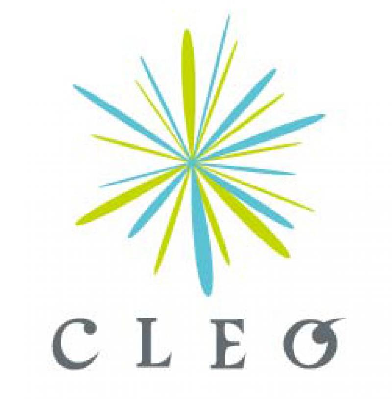 株式会社CLEO