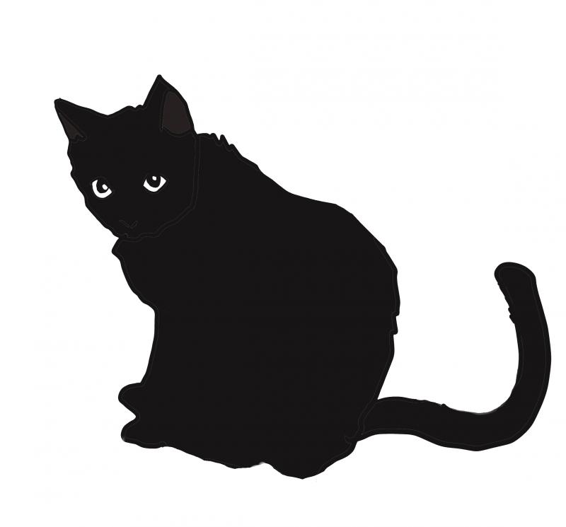 劇団ねこたらし