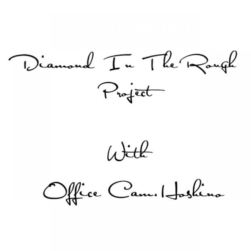 Diamond In The Rough Project