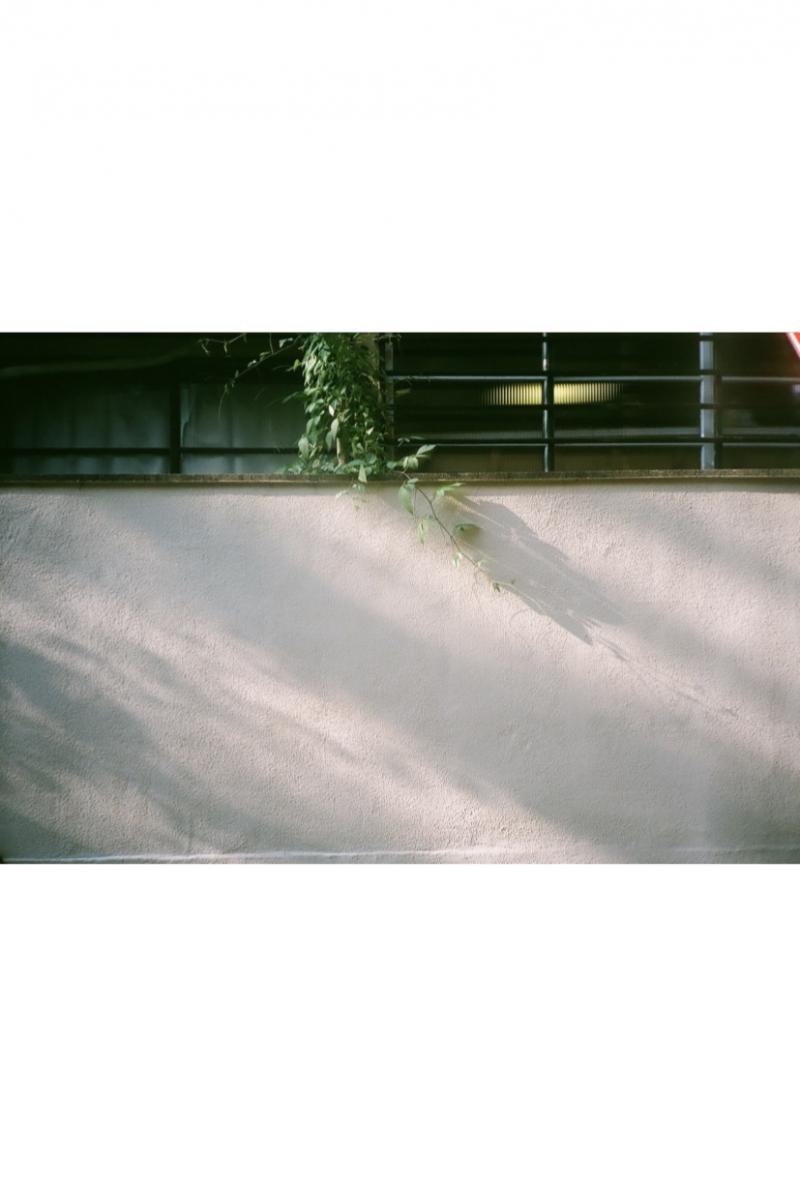窪　正晴