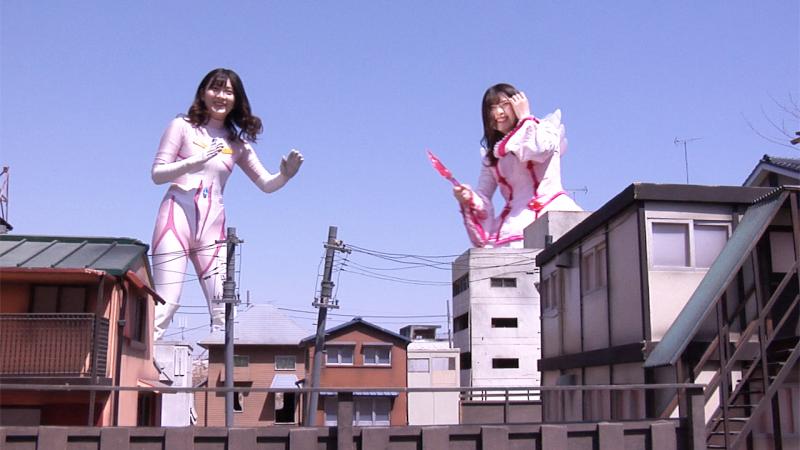 アプリコット