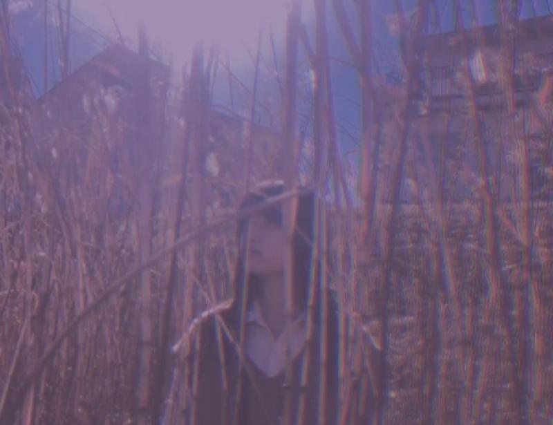 田中未来