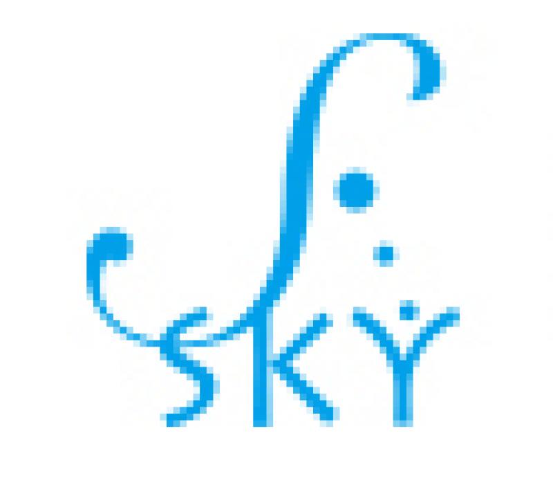 株式会社　SKY