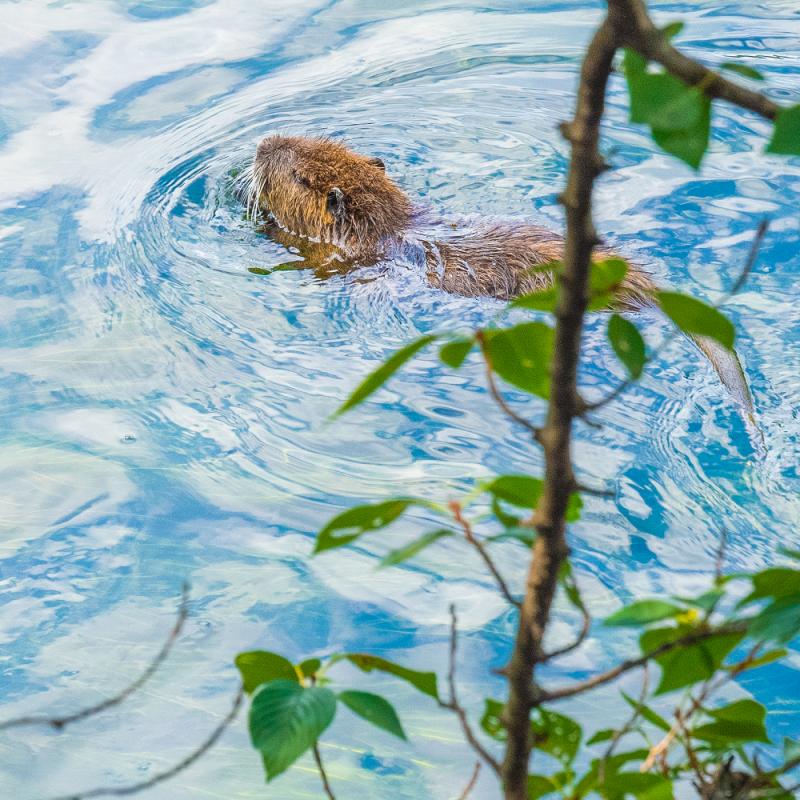 トミタキョウ