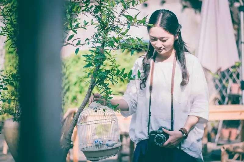 CHEN SHUXIN