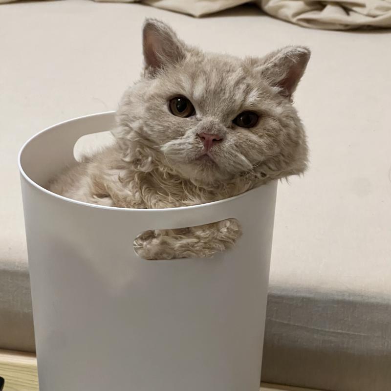 ヨウ　ウアン